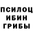 Галлюциногенные грибы MAGIC MUSHROOMS Juir Maut