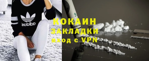 ПСИЛОЦИБИНОВЫЕ ГРИБЫ Семилуки