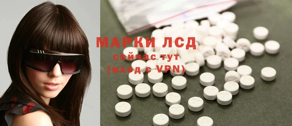 спиды Богородицк