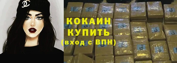 спиды Богородицк