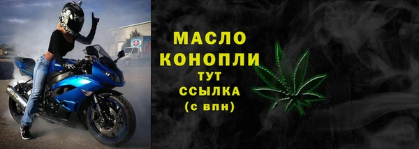 спиды Богородицк