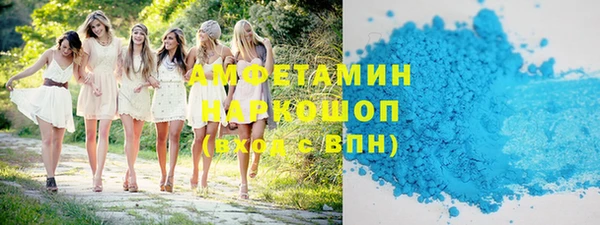 спиды Богородицк