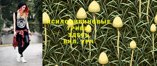 экстази Богданович