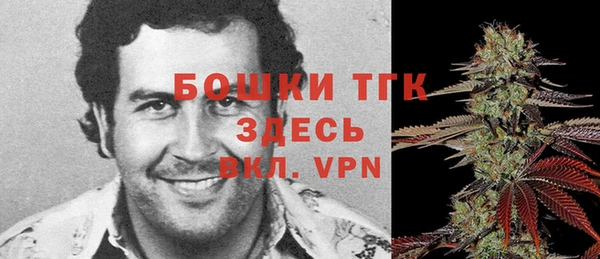 экстази Богданович