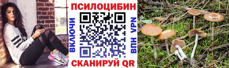 гидра зеркало  Краснознаменск  Галлюциногенные грибы мицелий 